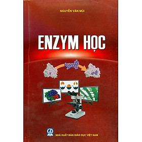 Enzyme Học