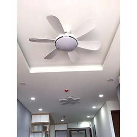 Mua Quạt Trần nguyên nhân DC  Có Đèn LED  nguyên nhân 6 tiêu chuẩn cấp độ Gió Công Xuất 90W khuyến mại Móc cao su đặc Treo