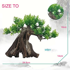 Bonsai Lũa Trang Trí Bể Cá Cảnh Thủy Sinh/Tiểu Cảnh 24.5x14x18cm Đã Xử Lý MS01
