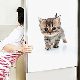 Mua Decal dán ô tô  dán tường  dán kính  dán tủ lạnh  dán máy tính  bạn mèo dễ thương