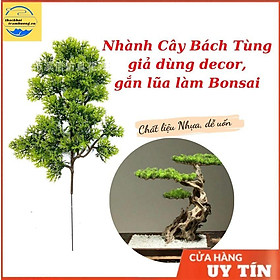Mua Cành tùng giả  cành thông làm cây trang trí cụm lá tùng la hán làm cây bonsai decor tiểu cảnh