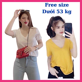 Áo Thun Trơn Nữ Cổ  Tm Tay Ngắn Cổ Điển Form Vừa - Áo Thun Nữ Cổ Chữ V  Basic 100% Cotton Thoáng Mát, Thấm Hút Mồ Hôi, Mềm Mát  Giá Rẻ Nhiều Màu Free Size