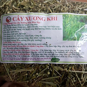 1kg Cây xương khỉ (cây bìm bịp) phơi khô hàng XANH ĐẸP loại 1 