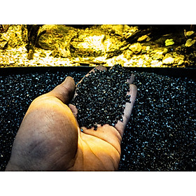 Trang Trí Trải Nền Hồ Cá Thủy Sinh: Nền Cát Trơ Pure Black | Túi 500Gram và 1KG