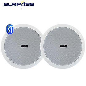 Bộ khuếch đại kỹ thuật số Class D tích hợp chống nước Loa trần tương thích Bluetooth Loa chủ động 10W 6 inch cho âm thanh trong nhà Màu sắc: 1 BT và 1 thụ động