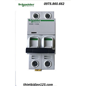 Mua Aptomat schneider 2P 25A