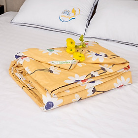 Chăn hè cotton 100% chần bông LIDACO thoáng khí, mát mẻ và bền màu khổ 200x230cm