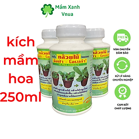 Mua Alpha Omega Kích Mầm Cho Lan  Các Loại Hoa - Nhập Khẩu Thái Lan 250ml
