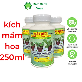 Alpha Omega Kích Mầm Cho Lan, Các Loại Hoa - Nhập Khẩu Thái Lan 250ml