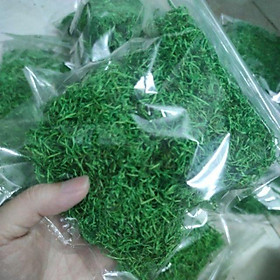 Túi bột cỏ, vụn cỏ 100gr phủ chậu cây cảnh, chậu hoa giả, làm slime, trang trí tiểu cảnh BC-100