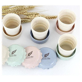 Mua Ly Nước Gấp Gọn Lúa Mạch Dr Show Cho Bé 130ml