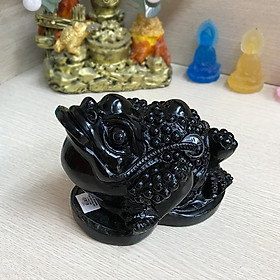 Mua Cóc phong thủy - Thiềm thừ phong thủy đá Onyx đen 16cm