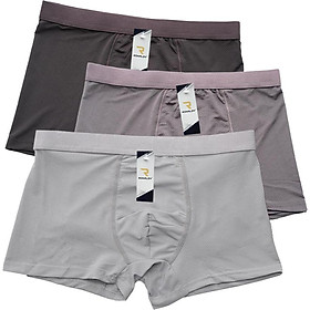 Combo 3 Quần sịp nam thông hơi, quần lót nam chất cotton thun lạnh mịn mát - ZQ204
