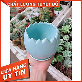 Chậu kiểu có dĩa lót