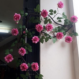 Hoa lụa cao cấp, dây hoa hồng leo loại 2m gốc cây cổ trang trí nhà cửa, decor nhà hàng, quán cà phê sang trọng HL-03