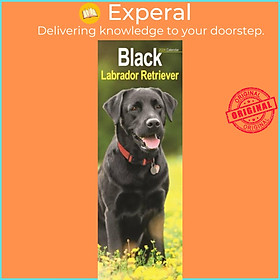 Sách - Black Labrador Retriever  Slim Calendar 2024  Dog Breed Slimline Calendar - 12 Month by  (UK edition, paperback)