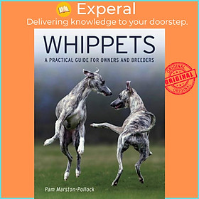 Sách - Whippets - A Practical Guide for Owners and Breeders by Pam Marston-Pollock (UK edition, paperback)