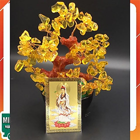Mua Kim Bài Kinh Chú Phật Bà Quan Âm - Độ Mệnh - Che Chở Bảo Vệ An Toàn