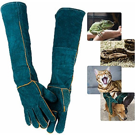 Găng tay thao tác của động vật chống bit trong phòng làm việc găng tay trong an toàn da tắm cho chó mèo con rắn rắn bò sát găng tay