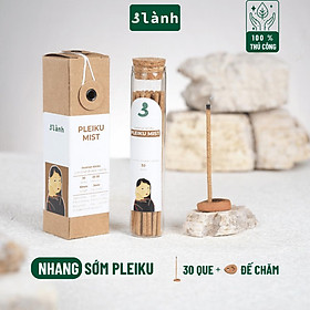 Nhang Thủ Công Sớm Pleiku 3 Lành Hộp 30 Que 100 % Tự Nhiên Tặng Kèm Đế Chăm Không Hóa Chất Xông Thơm - Combo 2 Hộp (ưu đãi)