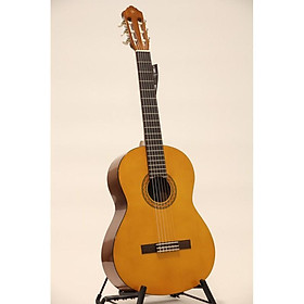 Đàn guitar Classic C40