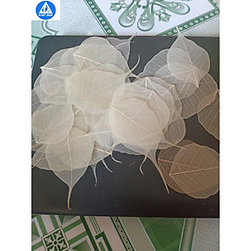 Mua set 10  xương lá bồ đề nhỏ vừa điện thoại size 5-6-7cm