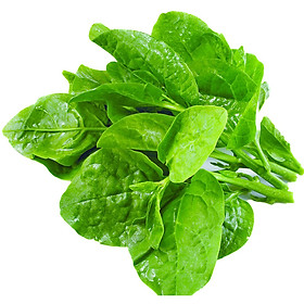 Rau mồng Tơi 250g