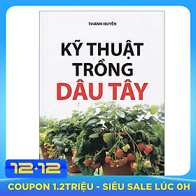 Kỹ Thuật Trồng Dâu Tây
