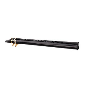 Exquisite Pocket Saxophone Sax w/ Storage Bag Mini Woodwind Instrument