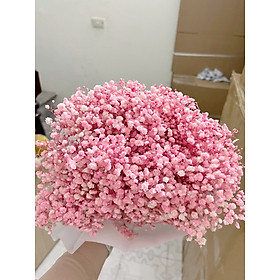 Mua Hoa baby khô bó 125g cao cấp cắm lọ hoa decor  bình hoa trang trí
