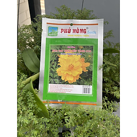 Mua Hạt giống hoa sao nhái F1 Phú Nông dễ trồng