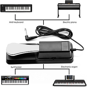 Bàn đạp tạo tiếng vang/ Universal pedal sustain - Kzm Kurtzman TKP-002(G) (TKP002) - Tương thích với Organ, Piano, Drum - Hàng chính hãng