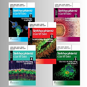 MOLECULAR CELL BIOLOGY - SINH HỌC PHÂN TỬ CỦA TẾ BÀO  -