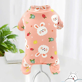 ÁO THUN NỈ HOẠ TIẾT THỎ CUTE TỪ 1-5KG DÀNH CHO THÚ CƯNG CHÓ MÈO