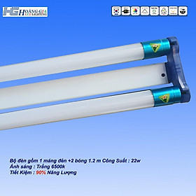 Bộ đèn Led tuýp đôi T8 gồm 2 bóng LED tube 1,2m x 22W