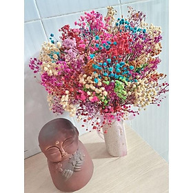 Mua BÌNH HOA KHÔ BABY MIX MÀU