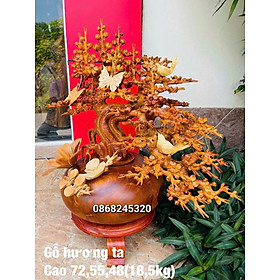 1 bình hoa mai lan phong thủy trang trí phòng khách bằng gỗ hương ta kt cao 72×55×48cm 
