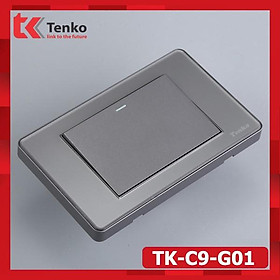 Công Tắc 1 Nút Âm Tường – Mặt PVC Trong Bo Viền Xám - Chống Xước, Chống Bạc Màu Tenko TK-C9-G001