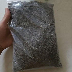 Mua 1 lạng - Hạt giống sao nháy nhiều màu