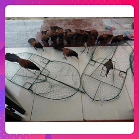 Mua Mẹt bẫy chim bìm bịp giá siêu sốc