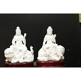 Mua Trắng ( Cặp )