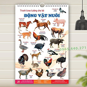 Bộ tranh treo tường cho bé - 6 tờ với 14 chủ đề - Hàng loại 1