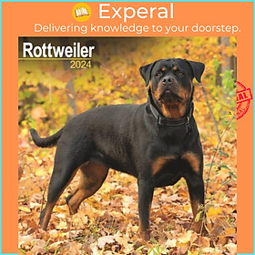 Sách - Rottweiler Calendar 2024  Square Dog Breed Wall Calendar - 16 Month by  (UK edition, paperback)