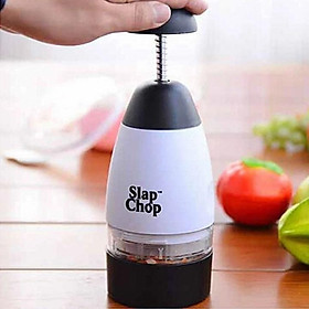 Mua Máy Thái Hành Tỏi Ớt Máy Thái Rau Củ Quả Slap Chop