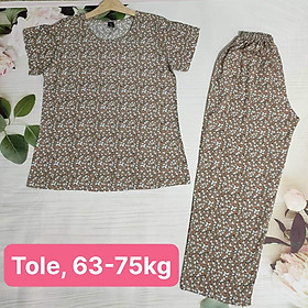 Hình ảnh [HCM] (63-72kg, P1) Đồ bộ tole dài bigsize. Đồ bộ bigsize tole dài. Đồ bộ bigsize đũi dài. Đồ bộ bigsize dài đũi. Đồ bộ bigsize lanh dài. Đồ bộ dài lanh bigsize. toledai1bigsize.