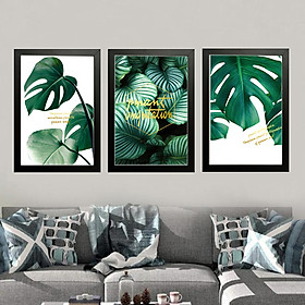 3 khung anh trang trí ( 20 x 30 )