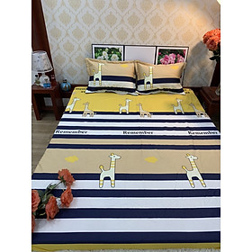 Bộ ga gối bo chun cotton