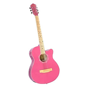 Đàn Guitar Acoustic Vines VA-3912PI