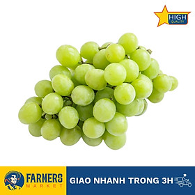 Nho xanh Autumn Crips Nam Phi - Cứng trái, tươi xanh, giòn rộp, ngọt đậm ấn tượng.