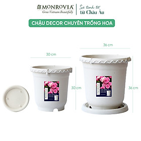 Chậu nhựa trồng cây MONROVIA thông minh, decor trang trí chuyên cho hoa hồng, cây cảnh, ban công, nhập khẩu tiêu chuẩn Châu Âu